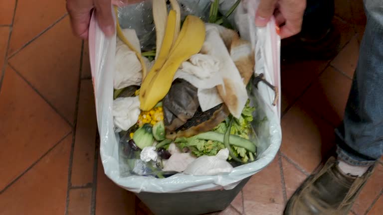 Best Same-Day Junk Removal Services  in Bethel Manor, VA